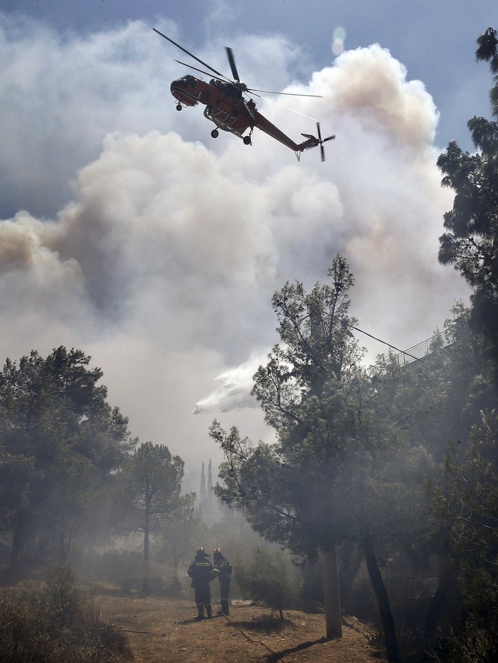 Εικόνες σοκ: Οι στάχτες του Καρέα μετά την πύρινη λαίλαπα - εικόνα 5