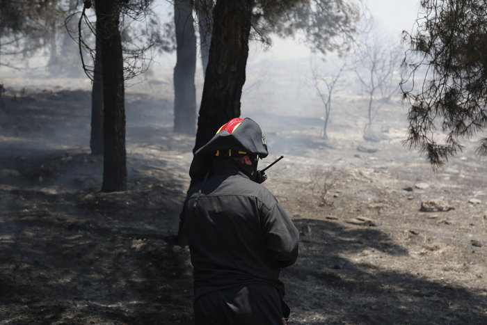 Εικόνες σοκ: Οι στάχτες του Καρέα μετά την πύρινη λαίλαπα - εικόνα 7