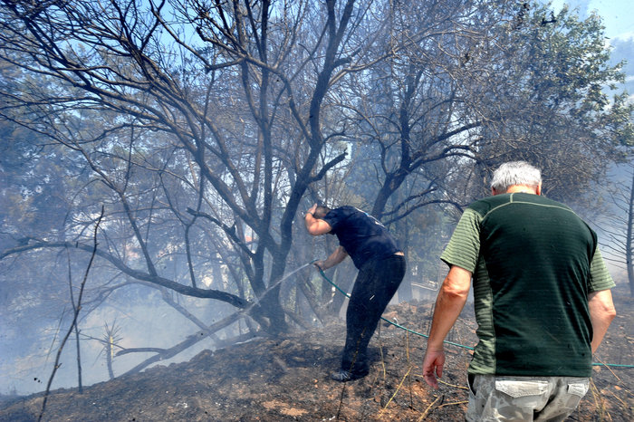 Εικόνες σοκ: Οι στάχτες του Καρέα μετά την πύρινη λαίλαπα - εικόνα 11