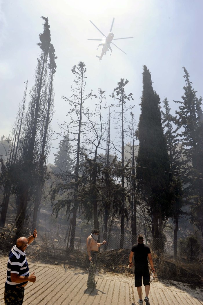 Εικόνες σοκ: Οι στάχτες του Καρέα μετά την πύρινη λαίλαπα - εικόνα 13