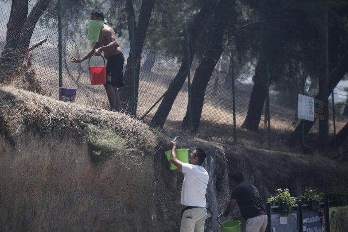 Εικόνες σοκ: Οι στάχτες του Καρέα μετά την πύρινη λαίλαπα - εικόνα 16