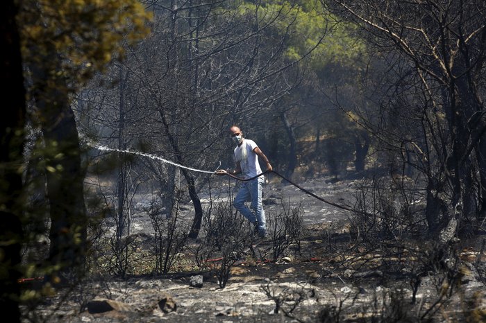 Εικόνες σοκ: Οι στάχτες του Καρέα μετά την πύρινη λαίλαπα - εικόνα 8