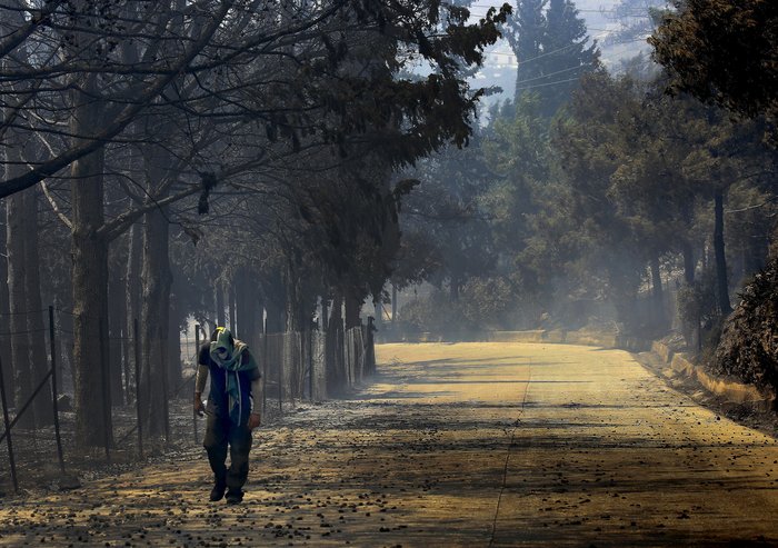 Εικόνες σοκ: Οι στάχτες του Καρέα μετά την πύρινη λαίλαπα - εικόνα 9