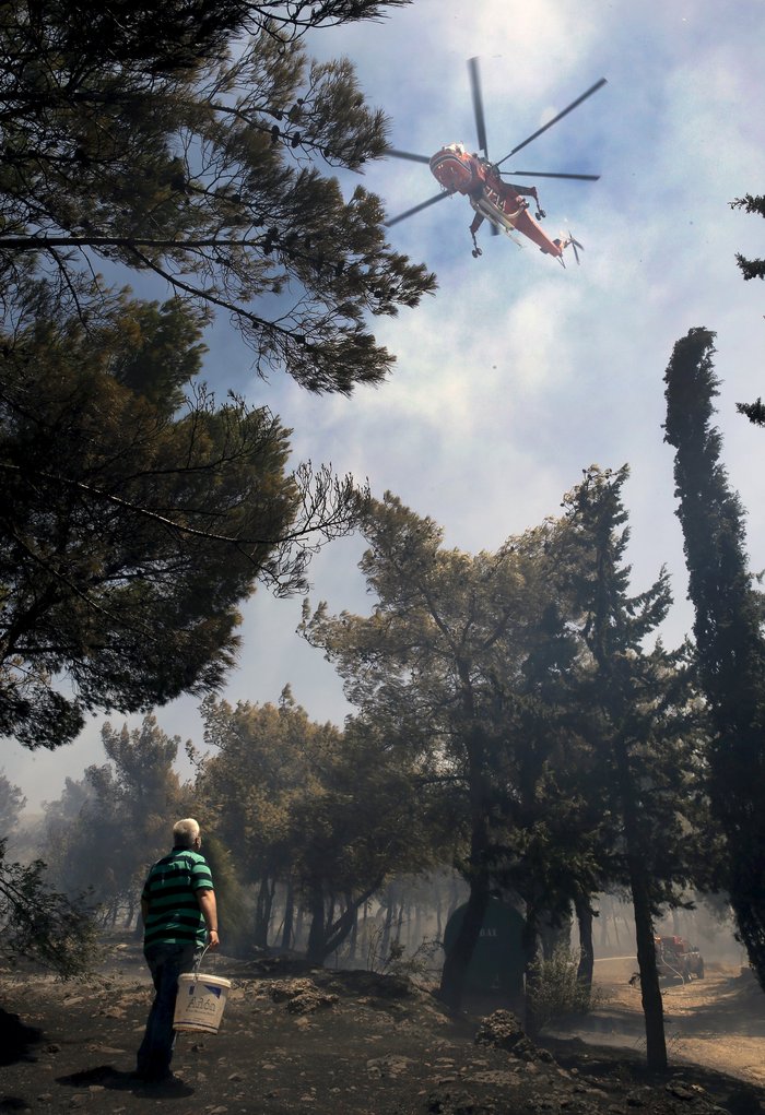 Εικόνες σοκ: Οι στάχτες του Καρέα μετά την πύρινη λαίλαπα - εικόνα 10