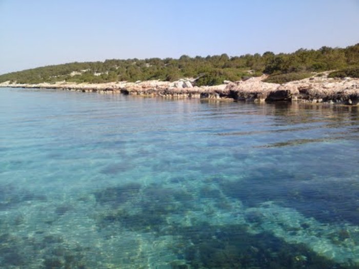 Νησί κοντά στην Αίγινα αγόρασε ο μεγιστάνας Γουόρεν Μπάφετ