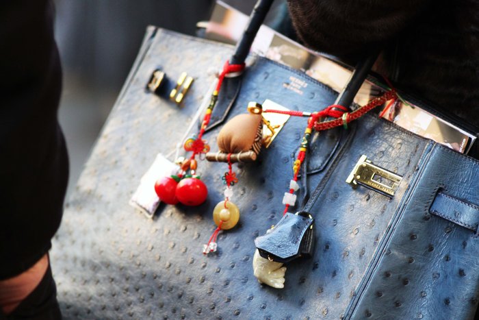 Η Τζέιν Μπίρκιν μπλοκάρει Hermès λόγω κακοποίησης ζώων - εικόνα 3
