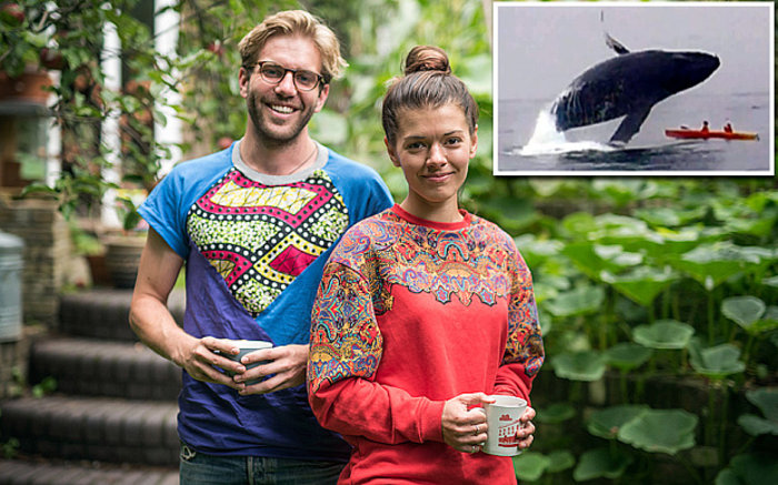 Φάλαινα 40 τόνων προσγειώνεται πάνω σε καγιάκ με 2 τουρίστες! [Βίντεο]