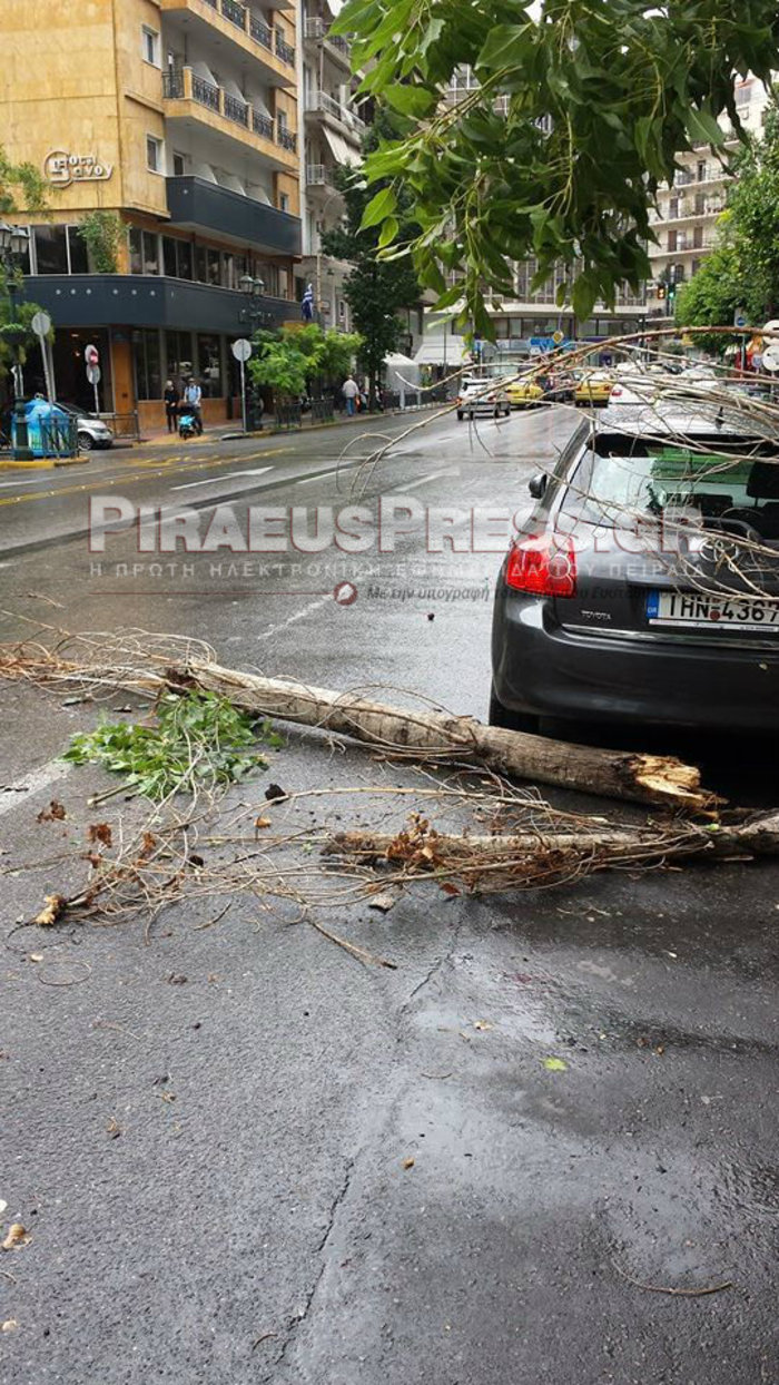 Στον Πειραιά ισχυρός άνεμος ξερίζωσε και έριξε δέντρο σε έναν από τους κεντρικότερους και πολυσύχναστους δρόμους στην Ηρώων Πολυτεχνείου, στο ύψος της Τερψιθέας