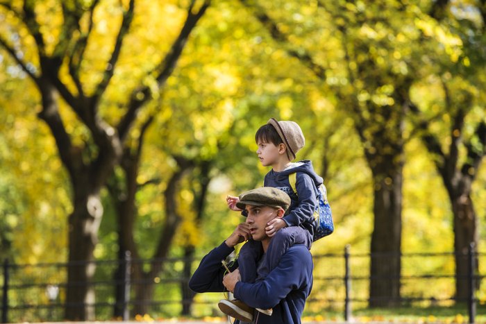 Τα χρώματα του φθινοπώρου στόλισαν το Central Park - Φωτογραφίες - εικόνα 2