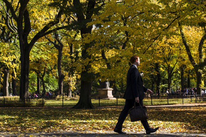 Τα χρώματα του φθινοπώρου στόλισαν το Central Park - Φωτογραφίες - εικόνα 4