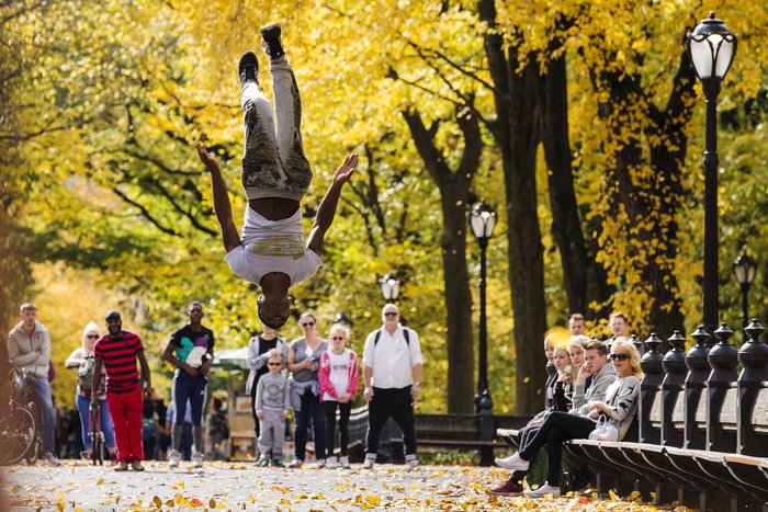 Τα χρώματα του φθινοπώρου στόλισαν το Central Park - Φωτογραφίες - εικόνα 6