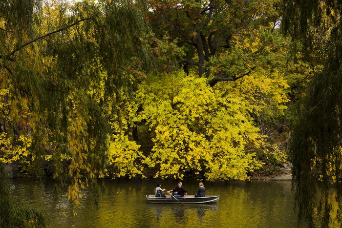 Τα χρώματα του φθινοπώρου στόλισαν το Central Park - Φωτογραφίες - εικόνα 7