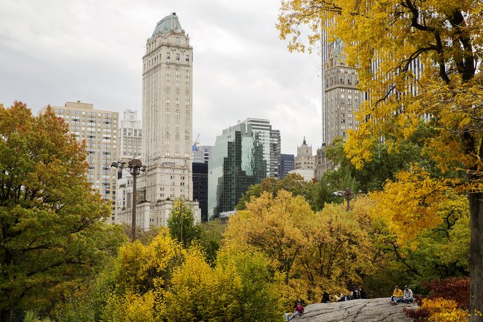 Τα χρώματα του φθινοπώρου στόλισαν το Central Park - Φωτογραφίες - εικόνα 8