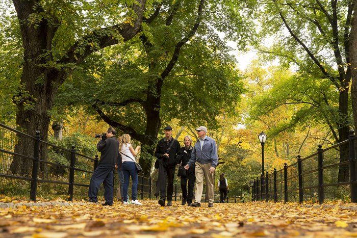 Τα χρώματα του φθινοπώρου στόλισαν το Central Park - Φωτογραφίες - εικόνα 11