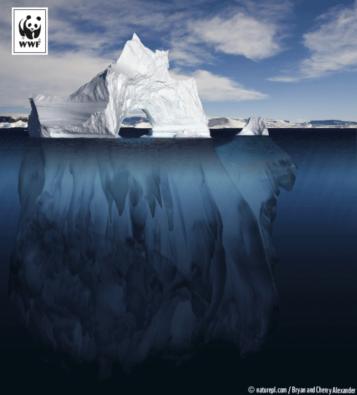 WWF: Τι διακυβεύεται στην 21η διάσκεψη του ΟΗΕ για το κλίμα στο Παρίσι; - εικόνα 3