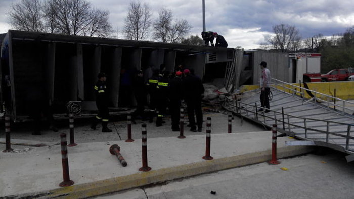 Σκοτώθηκαν πανέμορφα άλογα σε τροχαίο με νταλίκα στην Εγνατία - εικόνα 3