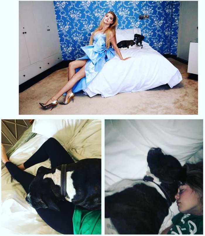 High fashion vs reality: Η Κέιτ Απτον τολμά να σπάσει την τέλεια εικόνα της - εικόνα 4