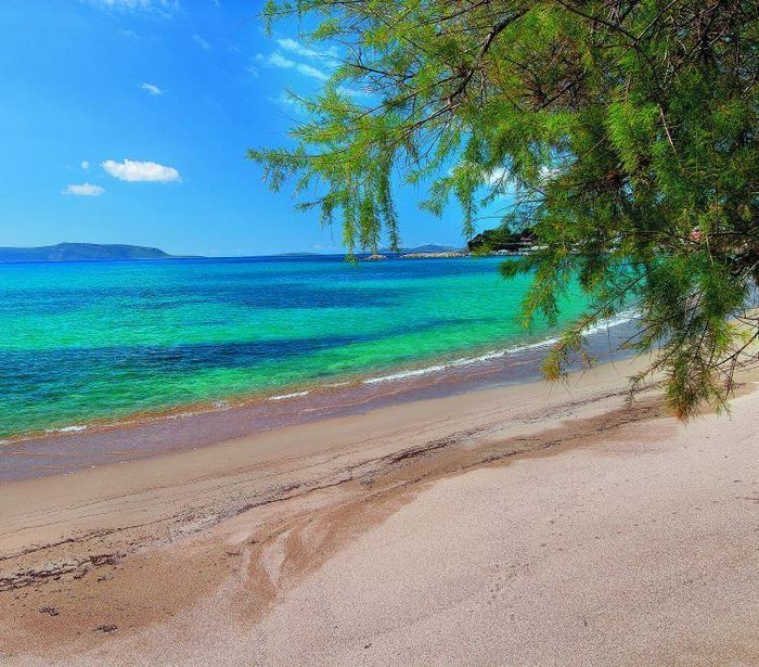 Φοινικούντα