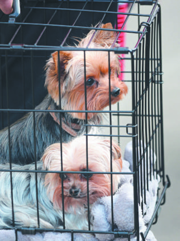 Στη δημοσιότητα η επική απολογία του Τζόνι Ντεπ - θα τον λυπηθείτε