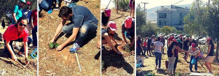Δράση για το περιβάλλον από τους εργαζόμενους της APIVITA