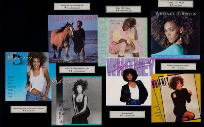 Στο «σφυρί» 100 προσωπικά αντικείμενα της Whitney Houston