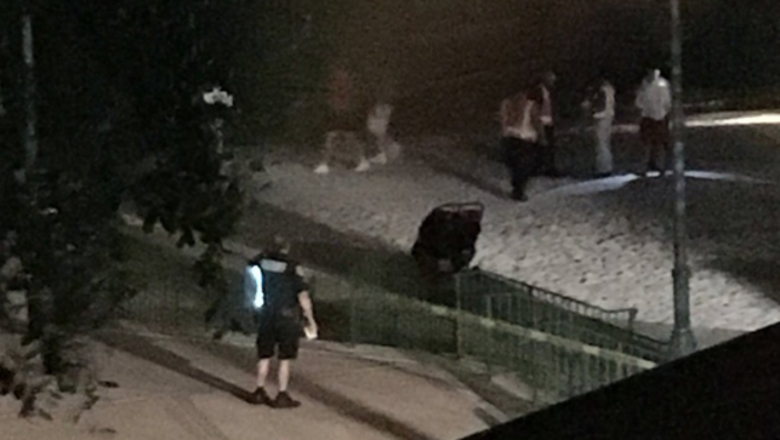 Απίστευτο:Αλιγάτορας άρπαξε παιδί σε λίμνη στη Ντίσνεϊλαντ στο Ορλάντο - εικόνα 2