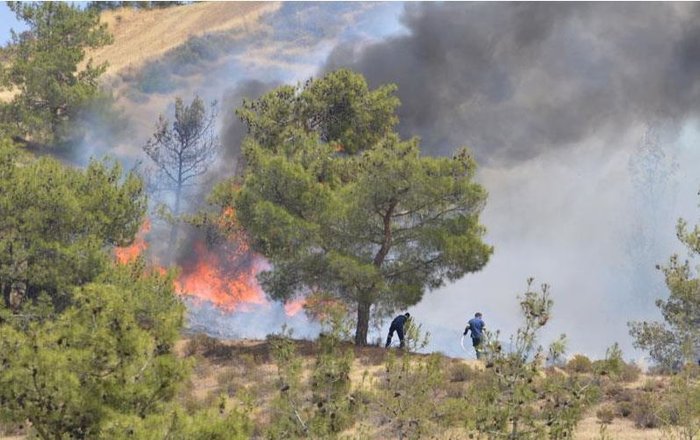Νύχτα αγωνίας στην Κύπρο, απείλησε χωριά η πυρκαγιά - εικόνα 2