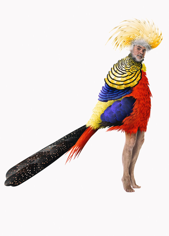 Όρνιθες στην Επίδαυρο: Όλοι μπορούμε να πετάξουμε - εικόνα 2