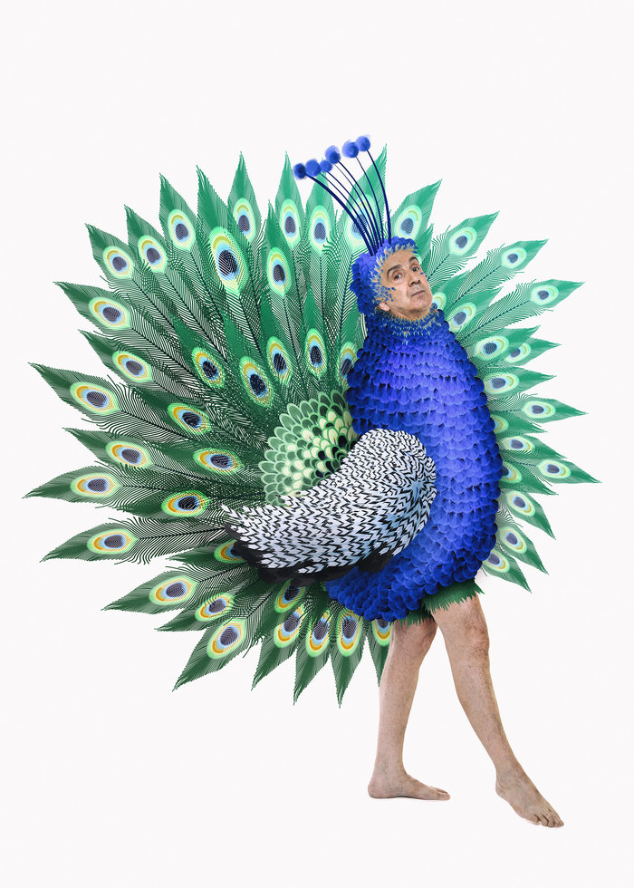 Όρνιθες στην Επίδαυρο: Όλοι μπορούμε να πετάξουμε - εικόνα 5