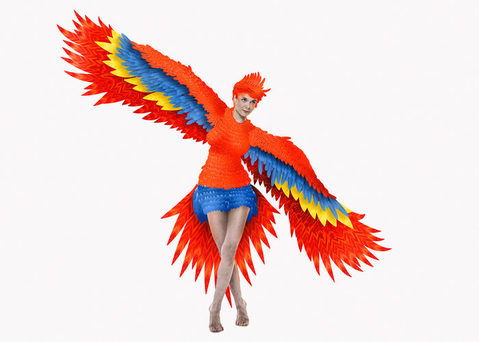 Όρνιθες στην Επίδαυρο: Όλοι μπορούμε να πετάξουμε - εικόνα 6