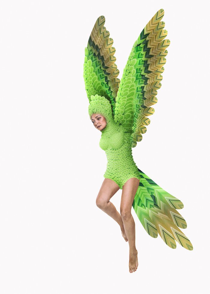 Όρνιθες στην Επίδαυρο: Όλοι μπορούμε να πετάξουμε - εικόνα 8