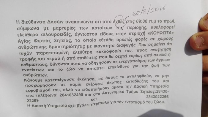 Αυτό είναι το αποτύπωμα του «θηρίου της Κρήτης» - εικόνα 2