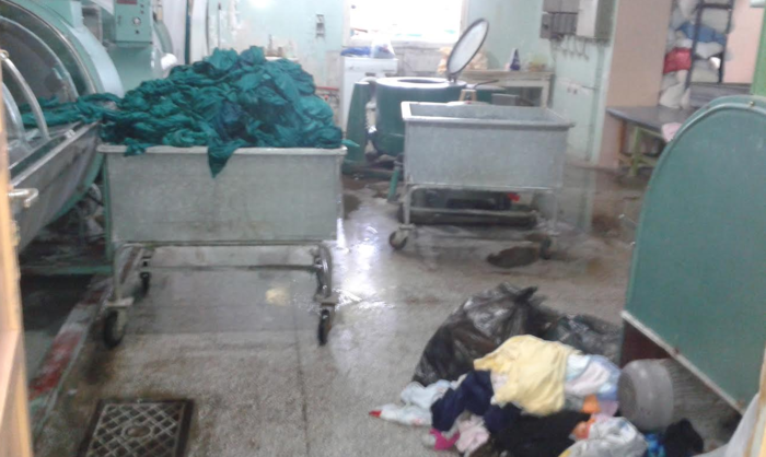 Κιλκίς: Φίδι μπήκε σε αποδυτήρια προσωπικού νοσοκομείου-Εικόνες ντροπής - εικόνα 4