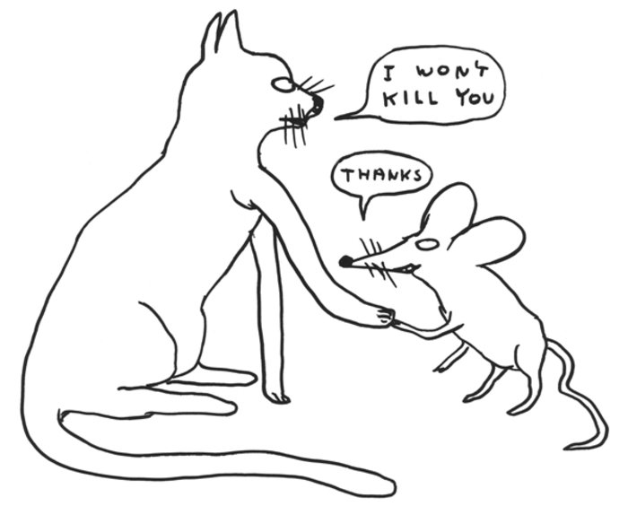 Οι γάτες του David Shrigley