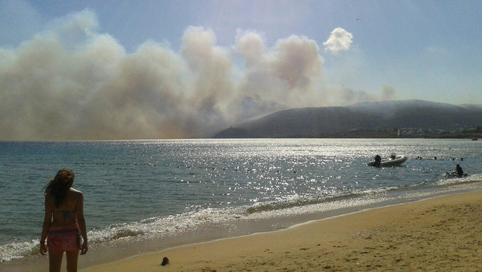 Οι φλόγες κατακαίνε μεγάλη δασική έκταση στη Σάμο - ΒΙΝΤΕΟ - εικόνα 2