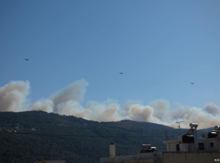 Οι φλόγες κατακαίνε μεγάλη δασική έκταση στη Σάμο - ΒΙΝΤΕΟ - εικόνα 3