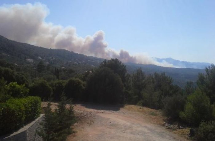 Οι φλόγες κατακαίνε μεγάλη δασική έκταση στη Σάμο - ΒΙΝΤΕΟ - εικόνα 4