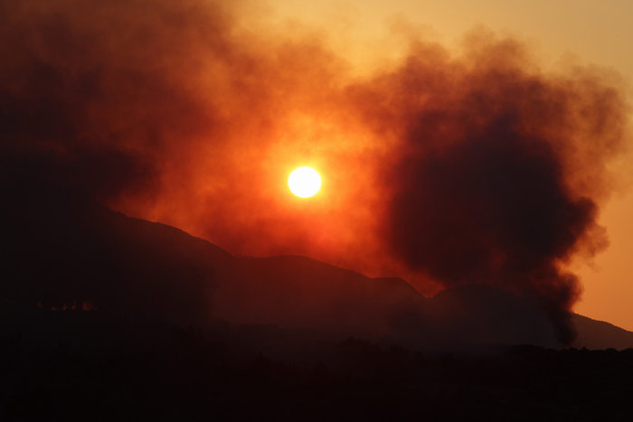 Οι φλόγες κατακαίνε μεγάλη δασική έκταση στη Σάμο - ΒΙΝΤΕΟ - εικόνα 6