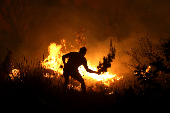 Οι φλόγες κατακαίνε μεγάλη δασική έκταση στη Σάμο - ΒΙΝΤΕΟ - εικόνα 7