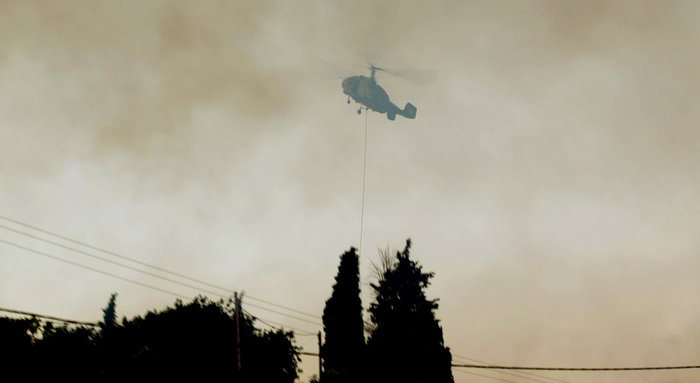 Οι φλόγες κατακαίνε μεγάλη δασική έκταση στη Σάμο - ΒΙΝΤΕΟ - εικόνα 11