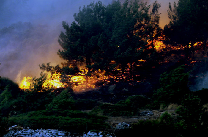 Οι φλόγες κατακαίνε μεγάλη δασική έκταση στη Σάμο - ΒΙΝΤΕΟ - εικόνα 12