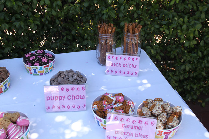 H Mαρία Μενούνος έκανε «sweet 16» πάρτι στη σκυλίτσα της - εικόνα 2