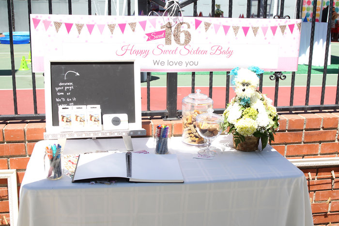 H Mαρία Μενούνος έκανε «sweet 16» πάρτι στη σκυλίτσα της - εικόνα 5