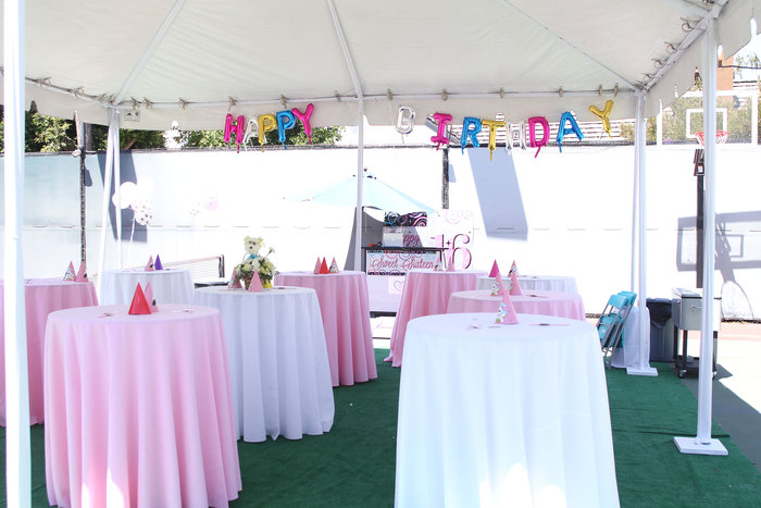 H Mαρία Μενούνος έκανε «sweet 16» πάρτι στη σκυλίτσα της - εικόνα 9