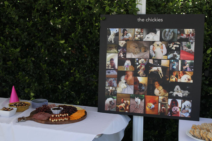 H Mαρία Μενούνος έκανε «sweet 16» πάρτι στη σκυλίτσα της - εικόνα 10