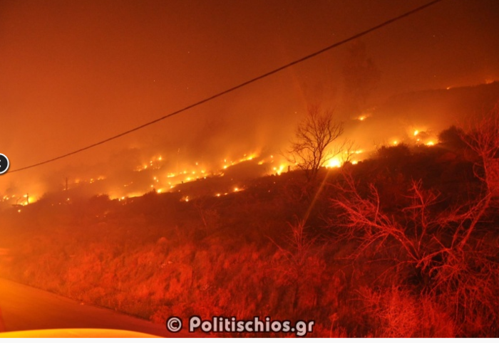 Χίος: Σε ύφεση η πυρκαγιά, κάηκαν τα μαστιχόδεντρα