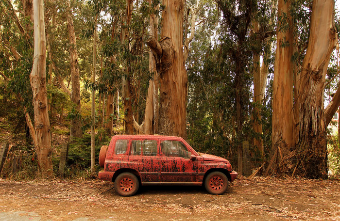 Βιβλική καταστροφή από την πυρκαγιά στην Καλιφόρνια [EIKONEΣ] - εικόνα 5