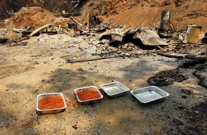 Βιβλική καταστροφή από την πυρκαγιά στην Καλιφόρνια [EIKONEΣ] - εικόνα 7