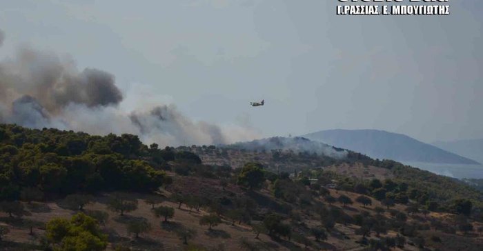 Μαίνεται η μεγάλη πυρκαγιά ανάμεσα σε Κρανίδι και Πόρτο Χέλι - εικόνα 4