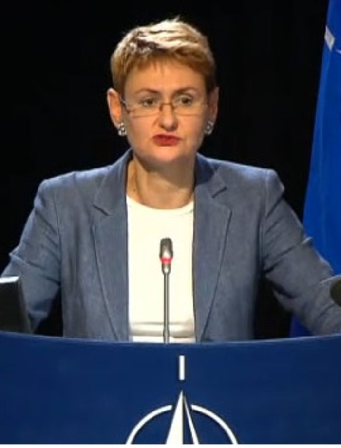 H Οάνα Λουνγκέσκου, εκπρόσωπος τoυ NATO
